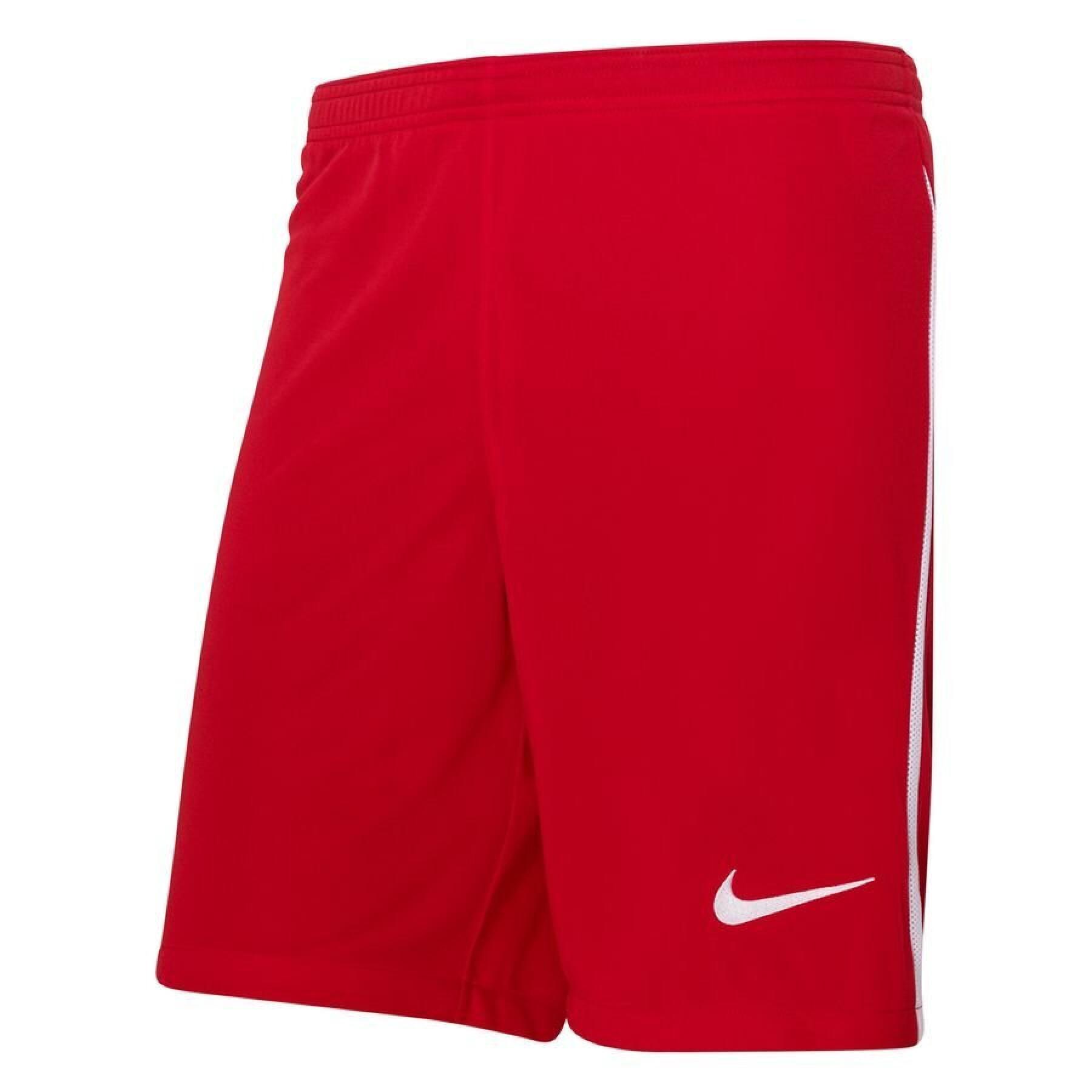 Mesh shorts Nike Dri-Fit LGE III