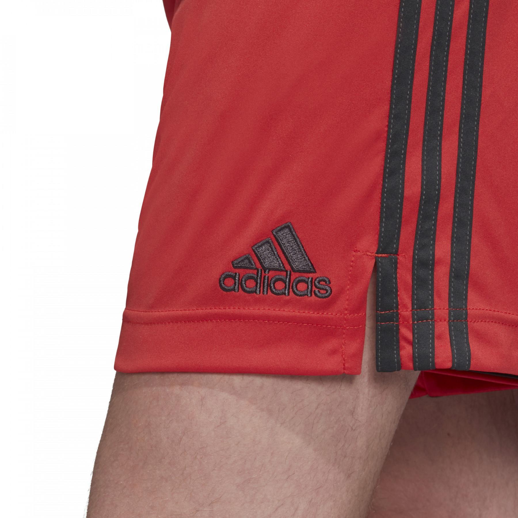 Home guard shorts Allemagne 2020