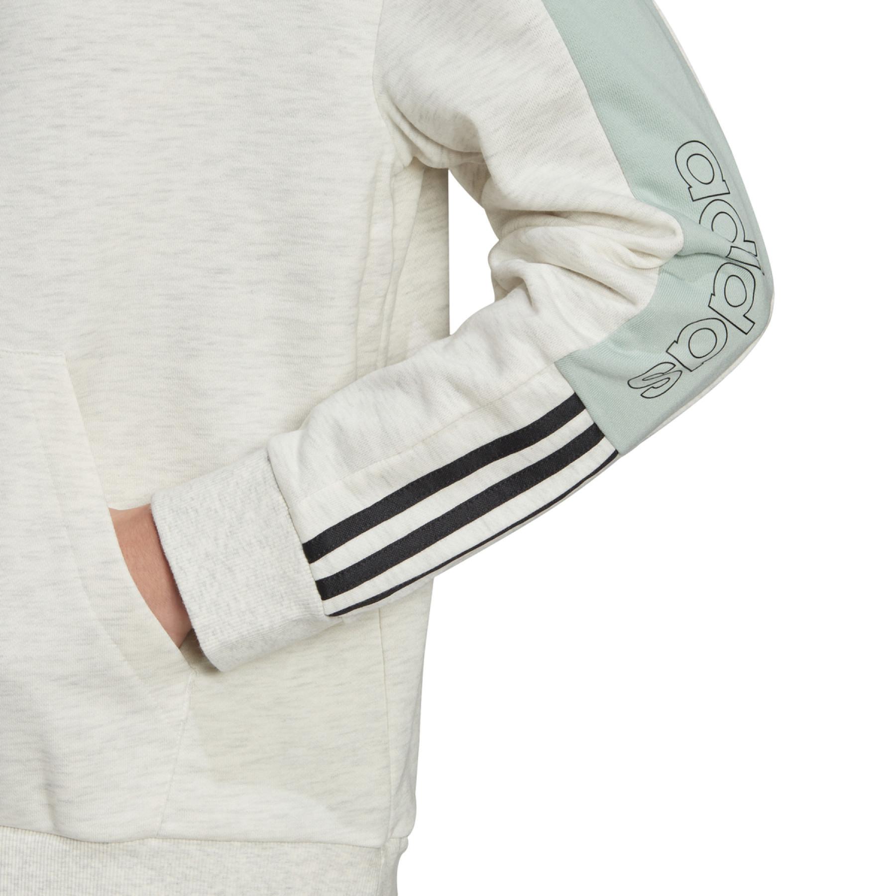 Dames sweatshirt met capuchon adidas Essentials Logo Colorblock