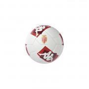 Ballon AS Monaco Player 20.3G 