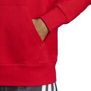 Hooded sweatshirt adidas Essentials French Terry Big Logo