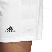 Dames shorts adidas Team 19