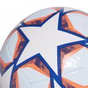 Ballon Ligue des Champions Finale 20 Texture Training