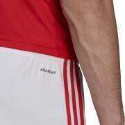Home shorts Benfica 2021/22