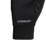 Handschoenen adidas Terrex Aeroready