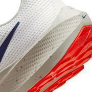 Schoenen van running Nike Air Zoom Pegasus 40